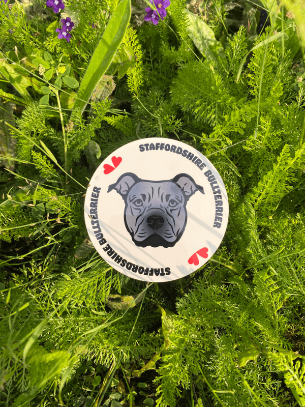 Staffordshire Bullterrier Glassbrikke
