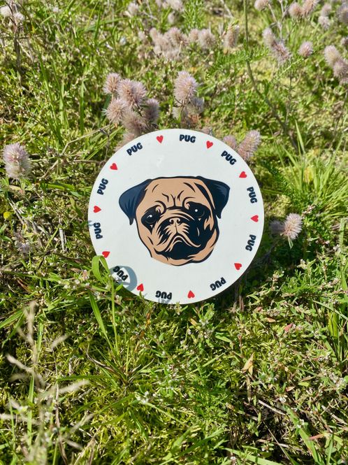 Hovedbilde Pug Glassbrikke